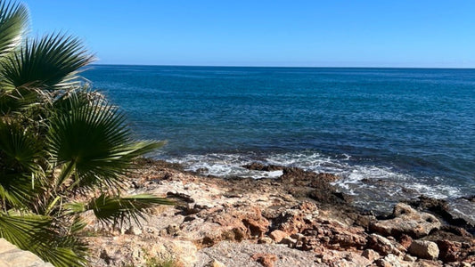 View of the sea from near where I'm staying in Spain